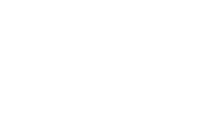 True North Logo